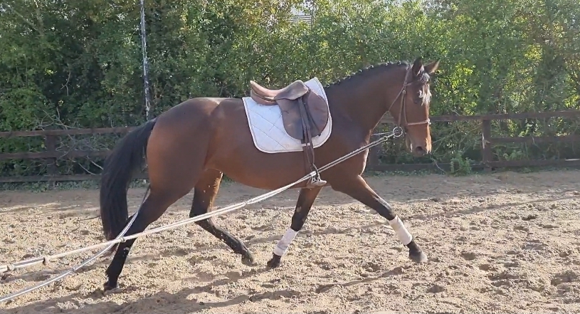 Vittorio 🤶 Grab A Christmas Bargain 🤶